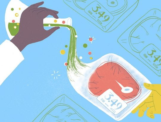 Will cell-based meat ever be a dinner staple? (Department's Dr Laura Domigan mentioned in article in Nature)